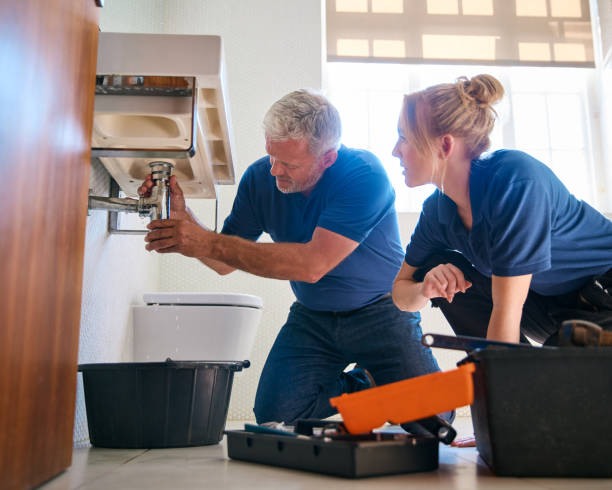 Best Affordable Plumbing Services  in South Monroe, MI