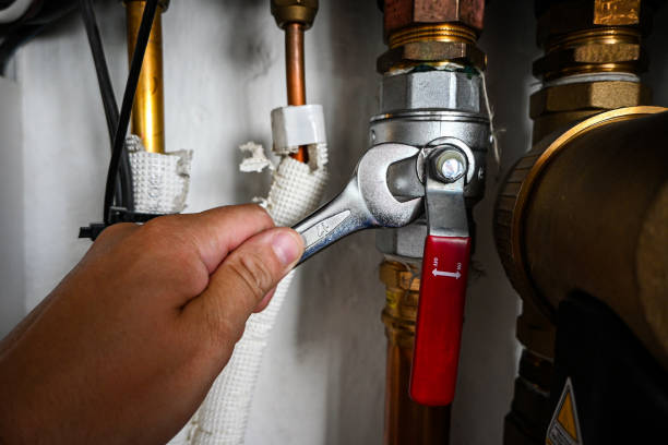  South Monroe, MI Plumbing Pros